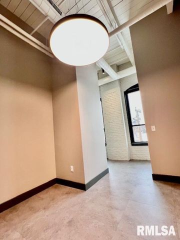 1001 SW Adams St Unit 301, Peoria, IL 61602