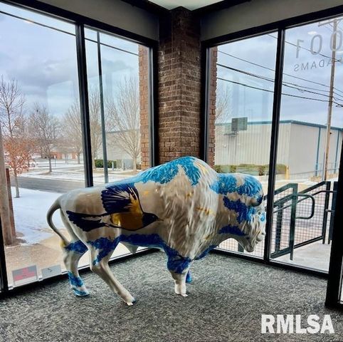 1001 SW Adams St Unit 301, Peoria, IL 61602