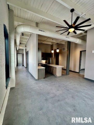 1001 SW Adams St Unit 301, Peoria, IL 61602