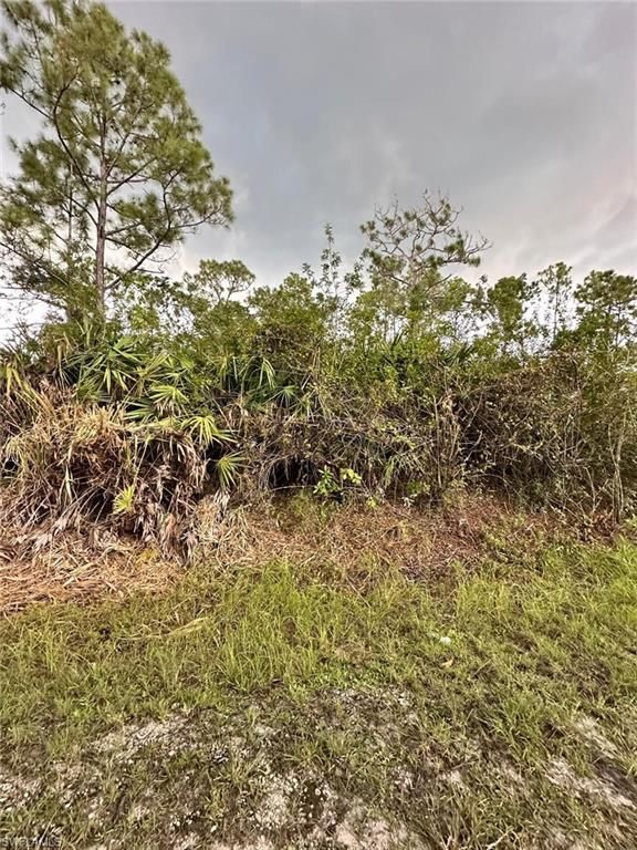 1504 Cleveland AVE, LEHIGH ACRES, FL 33972 — photo 2