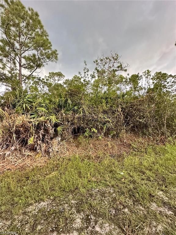 1504 Cleveland AVE, LEHIGH ACRES, FL 33972 — photo 3