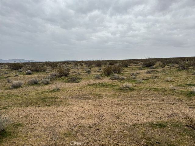 8133 Near Helendale Road, Helendale, CA 92342
