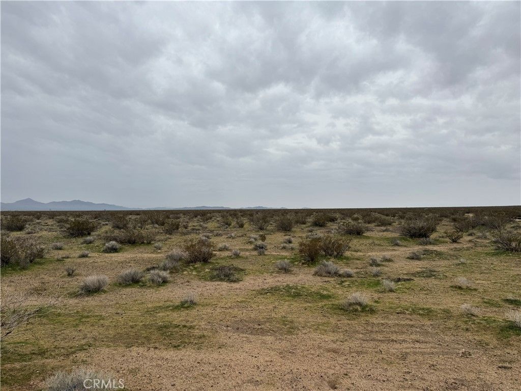 8133 Near Helendale Road, Helendale, CA 92342