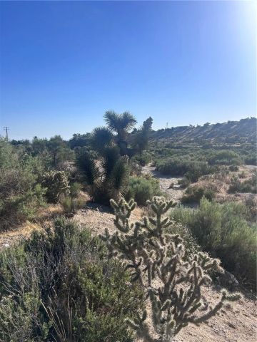 0 Yuba 3037061040000, Phelan, CA 92371
