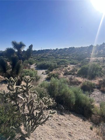 0 Yuba 3037061040000, Phelan, CA 92371
