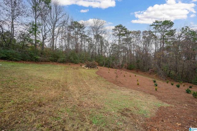 4704 CHIPPEWA LANE, Pelham, AL 35124