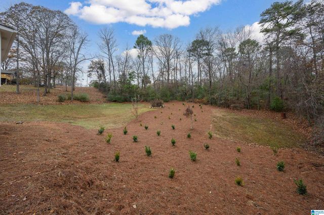 4704 CHIPPEWA LANE, Pelham, AL 35124