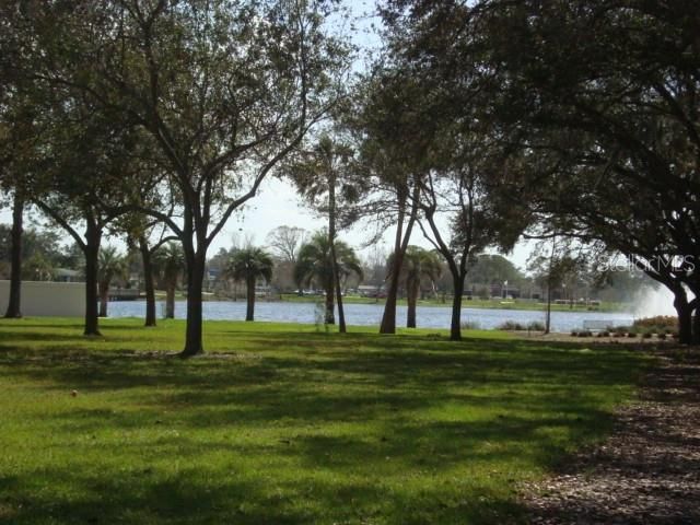 11 N CREST AVENUE, Clearwater, FL 33755