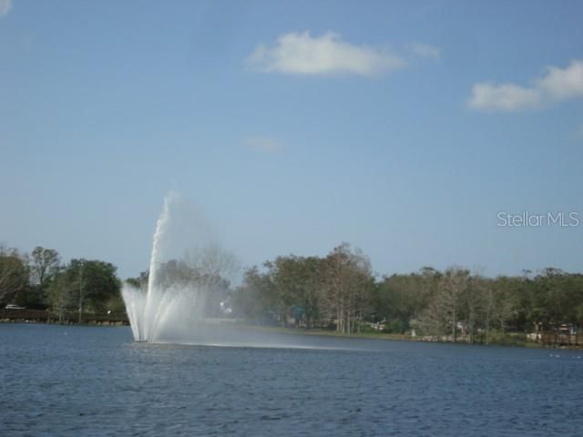 11 N CREST AVENUE, Clearwater, FL 33755
