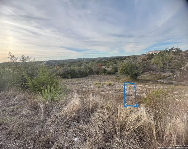 162 ZINNIA AVE, Spring Branch, TX 78070