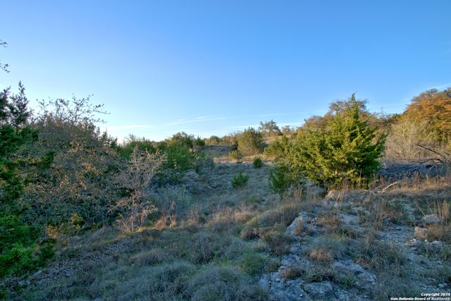 162 ZINNIA AVE, Spring Branch, TX 78070