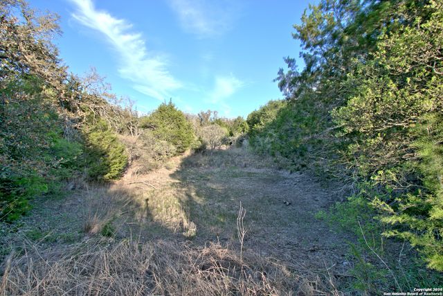 162 ZINNIA AVE, Spring Branch, TX 78070