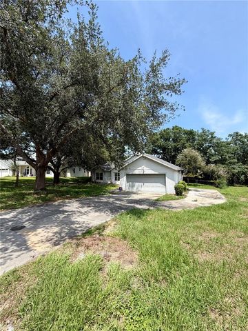 10258 JOANIES RUN, Leesburg, FL 34788