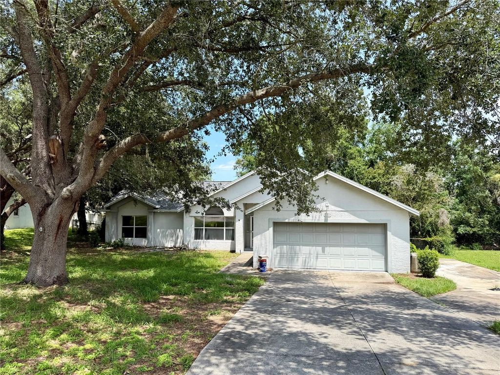 10258 JOANIES RUN, Leesburg, FL 34788