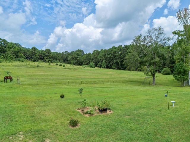 2873 Zinnia Rd, Diana, TX 75640