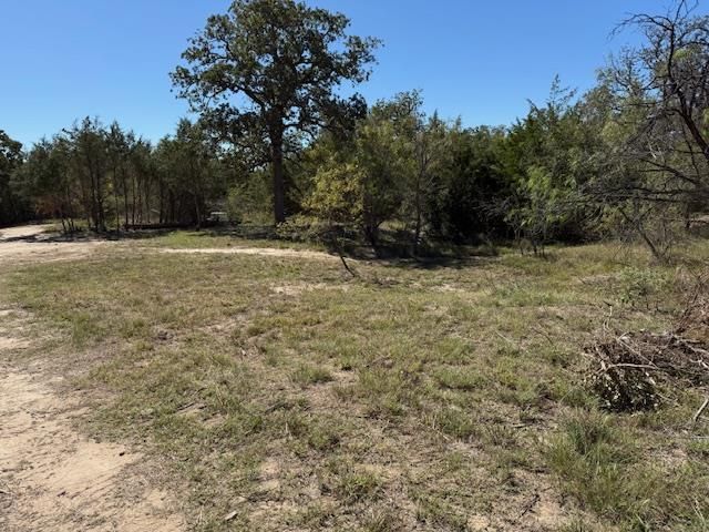 3.9 Acres Synergy DR, Bastrop, TX 78602
