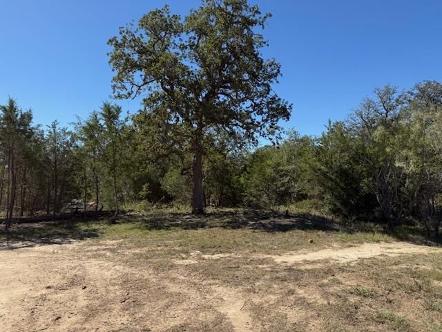 3.9 Acres Synergy DR, Bastrop, TX 78602
