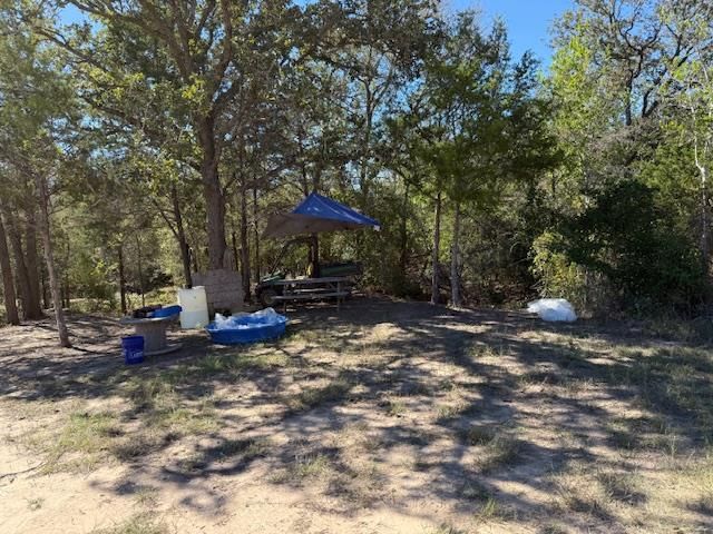 3.9 Acres Synergy DR, Bastrop, TX 78602