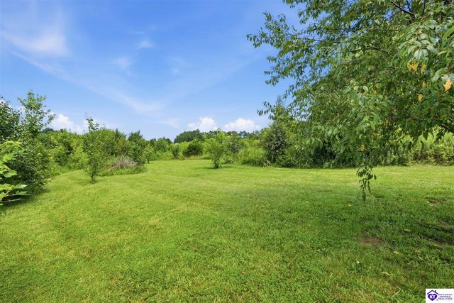 367 S Black Branch Road, Cecilia, KY 42724