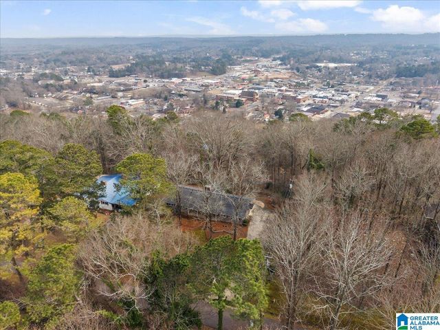 115 MOUNTAIN DRIVE, Oneonta, AL 35121