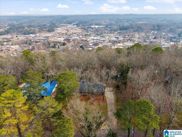 115 MOUNTAIN DRIVE, Oneonta, AL 35121