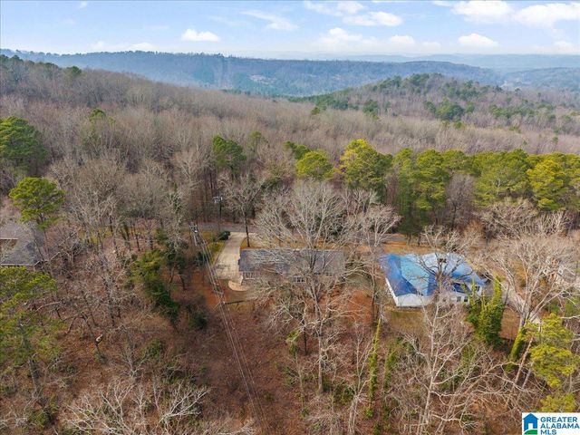 115 MOUNTAIN DRIVE, Oneonta, AL 35121