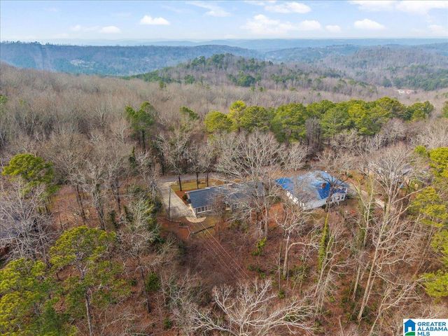 115 MOUNTAIN DRIVE, Oneonta, AL 35121