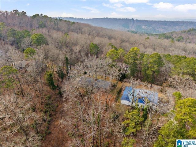 115 MOUNTAIN DRIVE, Oneonta, AL 35121