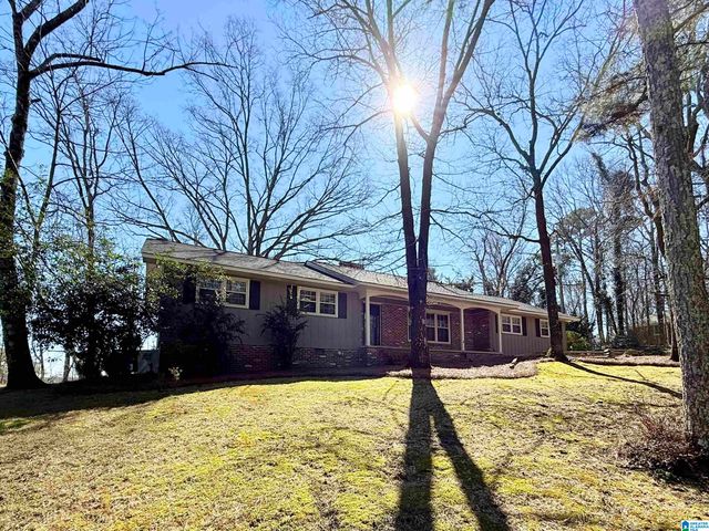 115 MOUNTAIN DRIVE, Oneonta, AL 35121