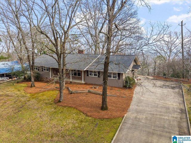 115 MOUNTAIN DRIVE, Oneonta, AL 35121