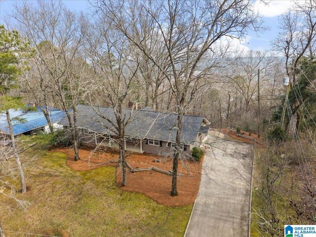 115 MOUNTAIN DRIVE, Oneonta, AL 35121