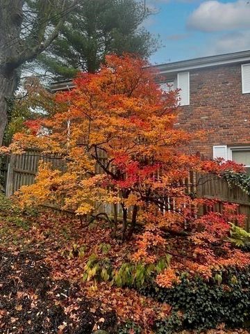 11 Kent Square 11, Brookline, MA 02446