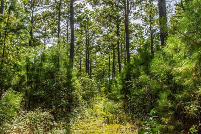 Tract 10 CR 4222, Frankston, TX 75763