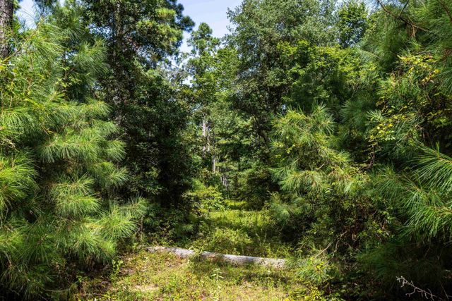 Tract 10 CR 4222, Frankston, TX 75763
