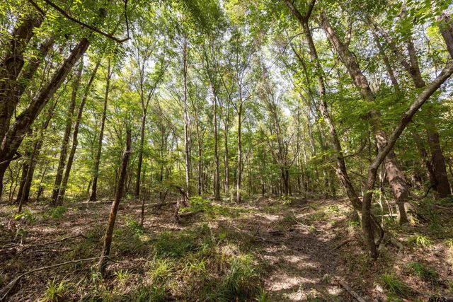 Tract 10 CR 4222, Frankston, TX 75763