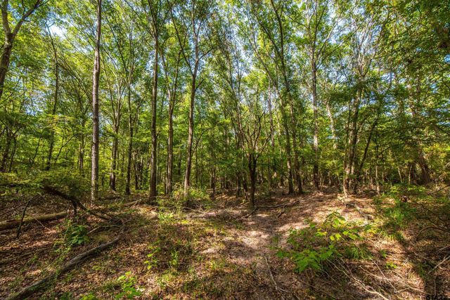 Tract 10 CR 4222, Frankston, TX 75763