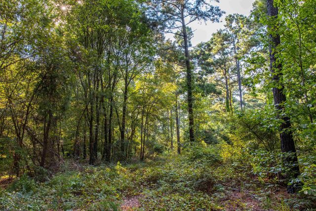 Tract 10 CR 4222, Frankston, TX 75763