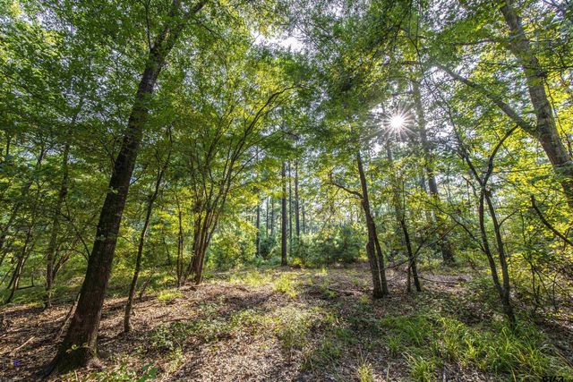 Tract 10 CR 4222, Frankston, TX 75763