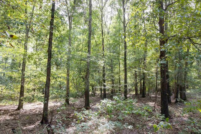 Tract 10 CR 4222, Frankston, TX 75763