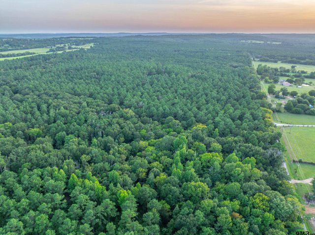 Tract 10 CR 4222, Frankston, TX 75763
