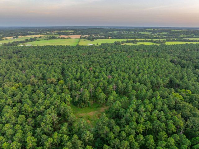 Tract 10 CR 4222, Frankston, TX 75763