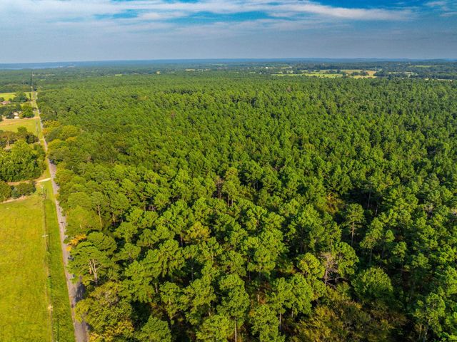 Tract 10 CR 4222, Frankston, TX 75763