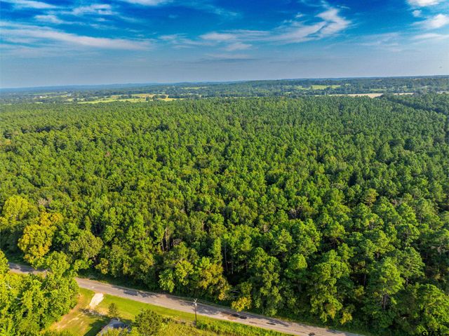 Tract 10 CR 4222, Frankston, TX 75763