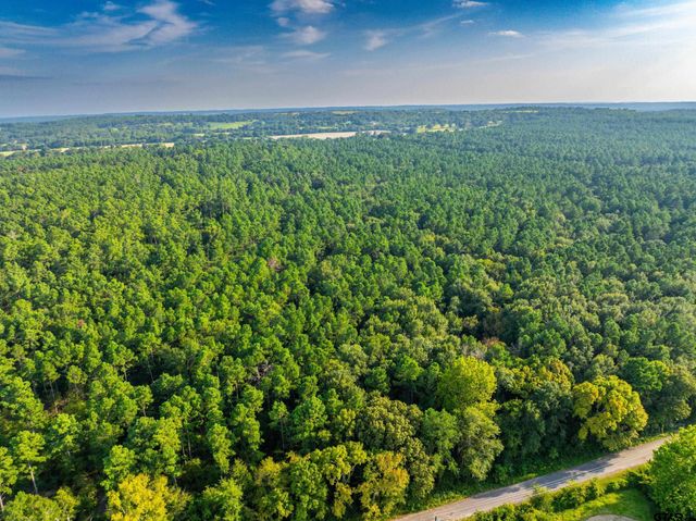 Tract 10 CR 4222, Frankston, TX 75763