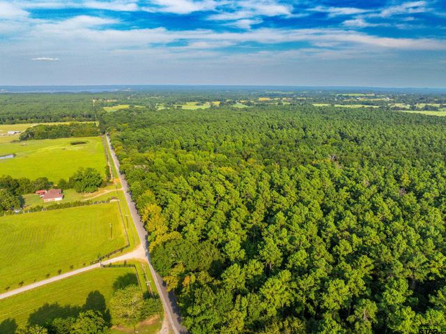 Tract 10 CR 4222, Frankston, TX 75763