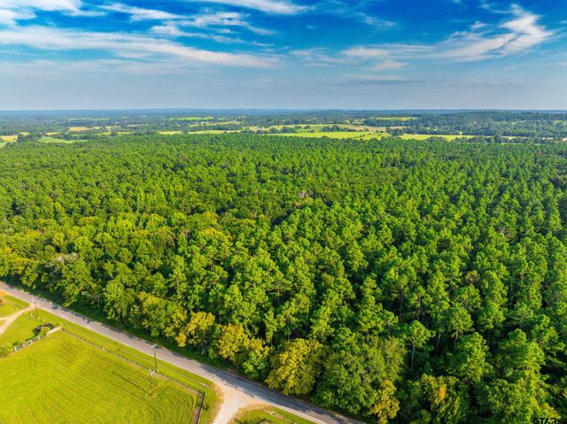 Tract 10 CR 4222, Frankston, TX 75763