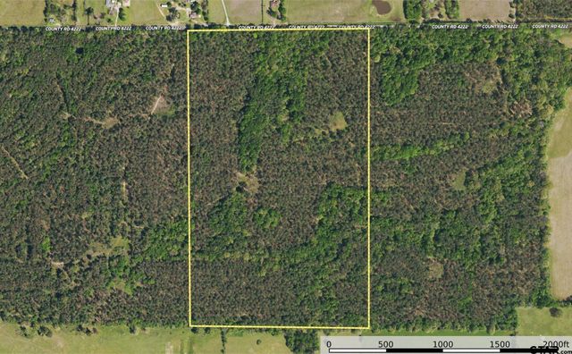 Tract 10 CR 4222, Frankston, TX 75763