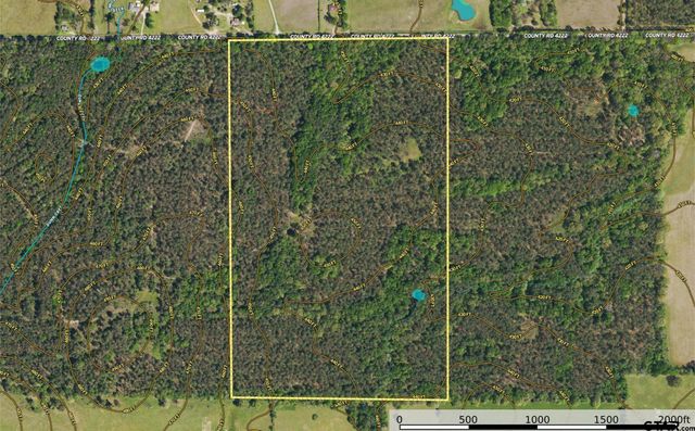 Tract 10 CR 4222, Frankston, TX 75763
