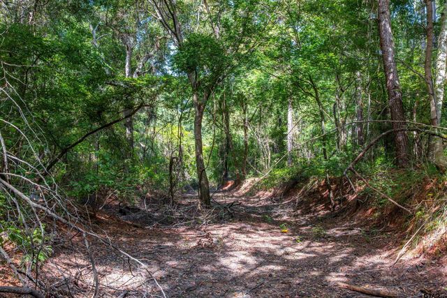 Tract 10 CR 4222, Frankston, TX 75763