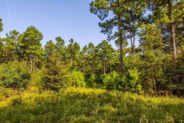 Tract 10 CR 4222, Frankston, TX 75763